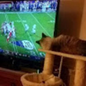 Meet your Posher, Steve